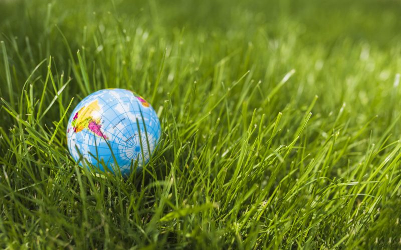 close-up-globe-ball-green-grass